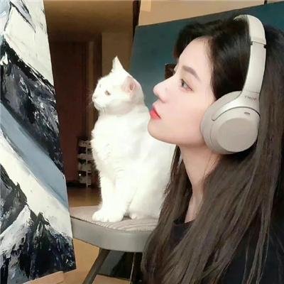 你好布拉德